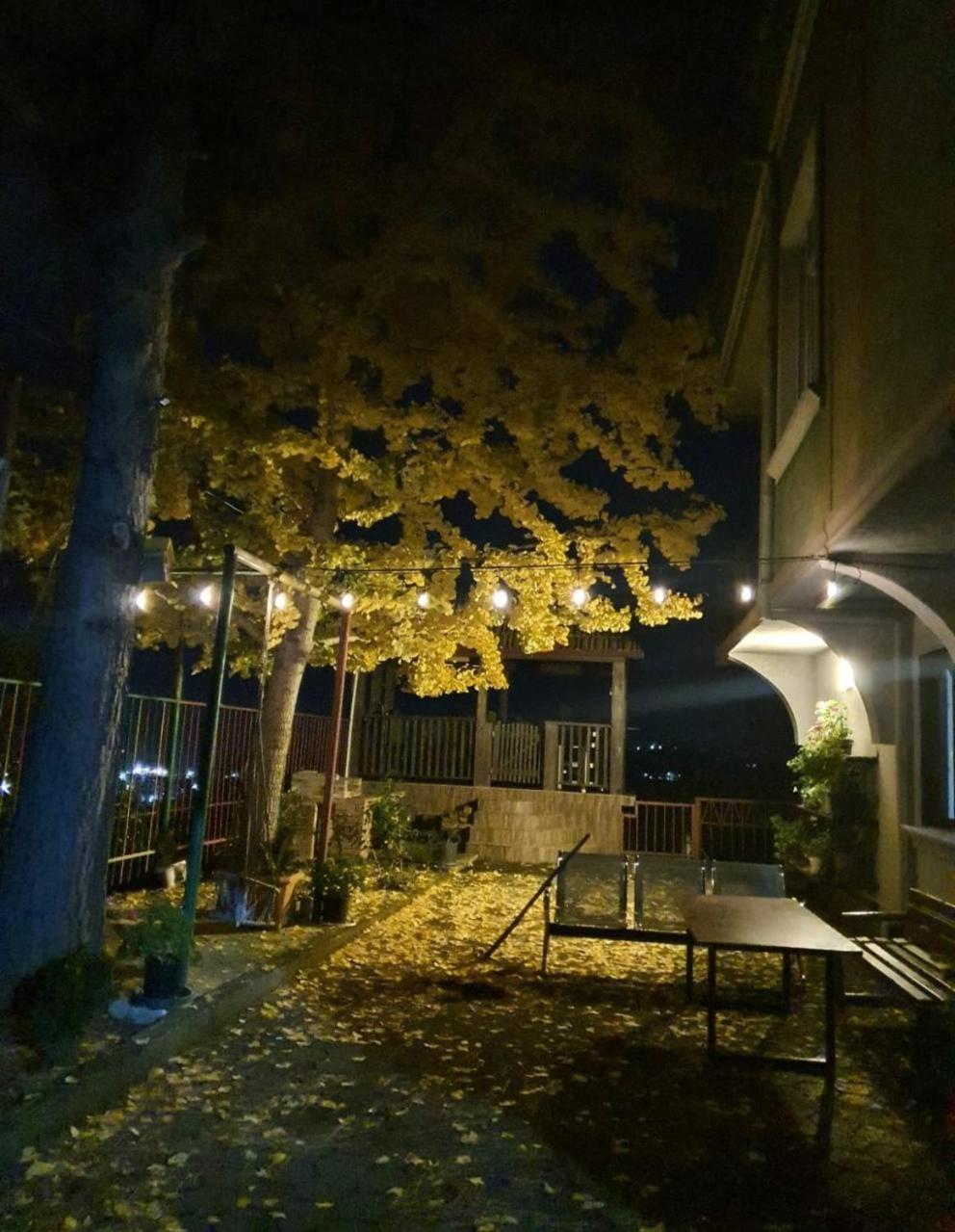 מלון Gt House באטומי מראה חיצוני תמונה