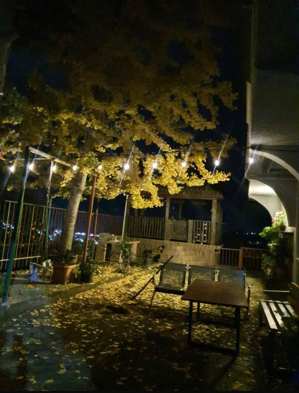 מלון Gt House באטומי מראה חיצוני תמונה