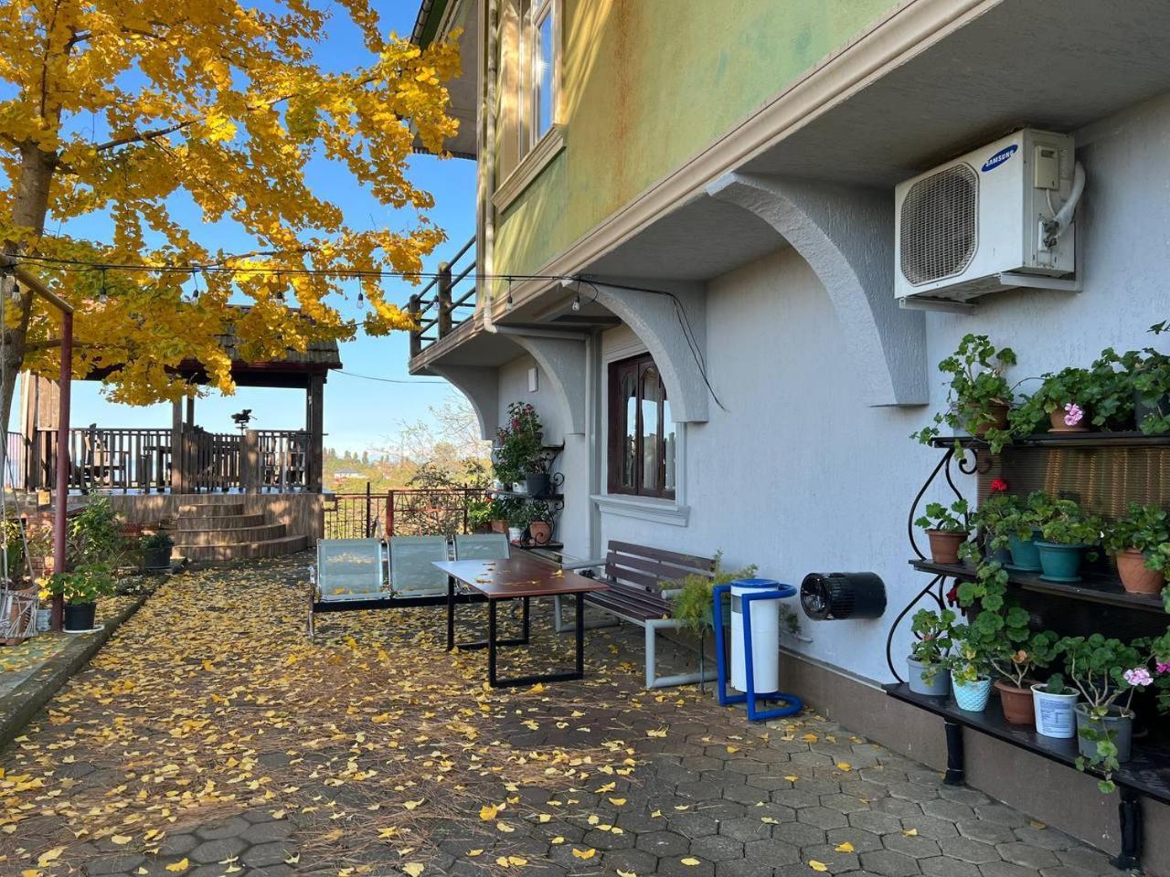 מלון Gt House באטומי מראה חיצוני תמונה